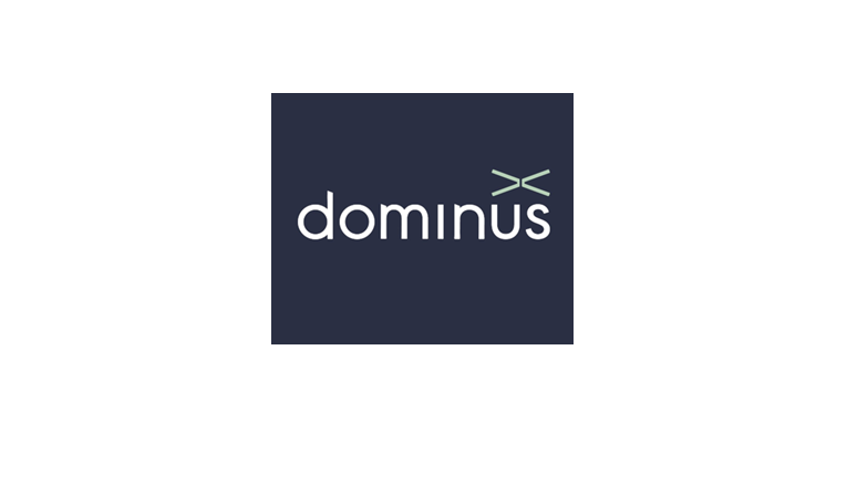 Dominus UK Holdings Limited
